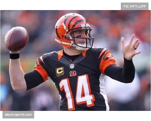 猛虎进攻组核心伤停 弗拉科临危受命表现值得肯定