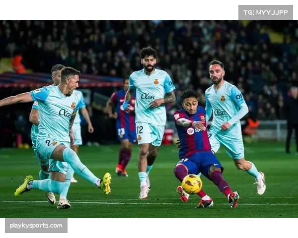 布莱顿客场一球小胜 进攻效率提升取关键三分